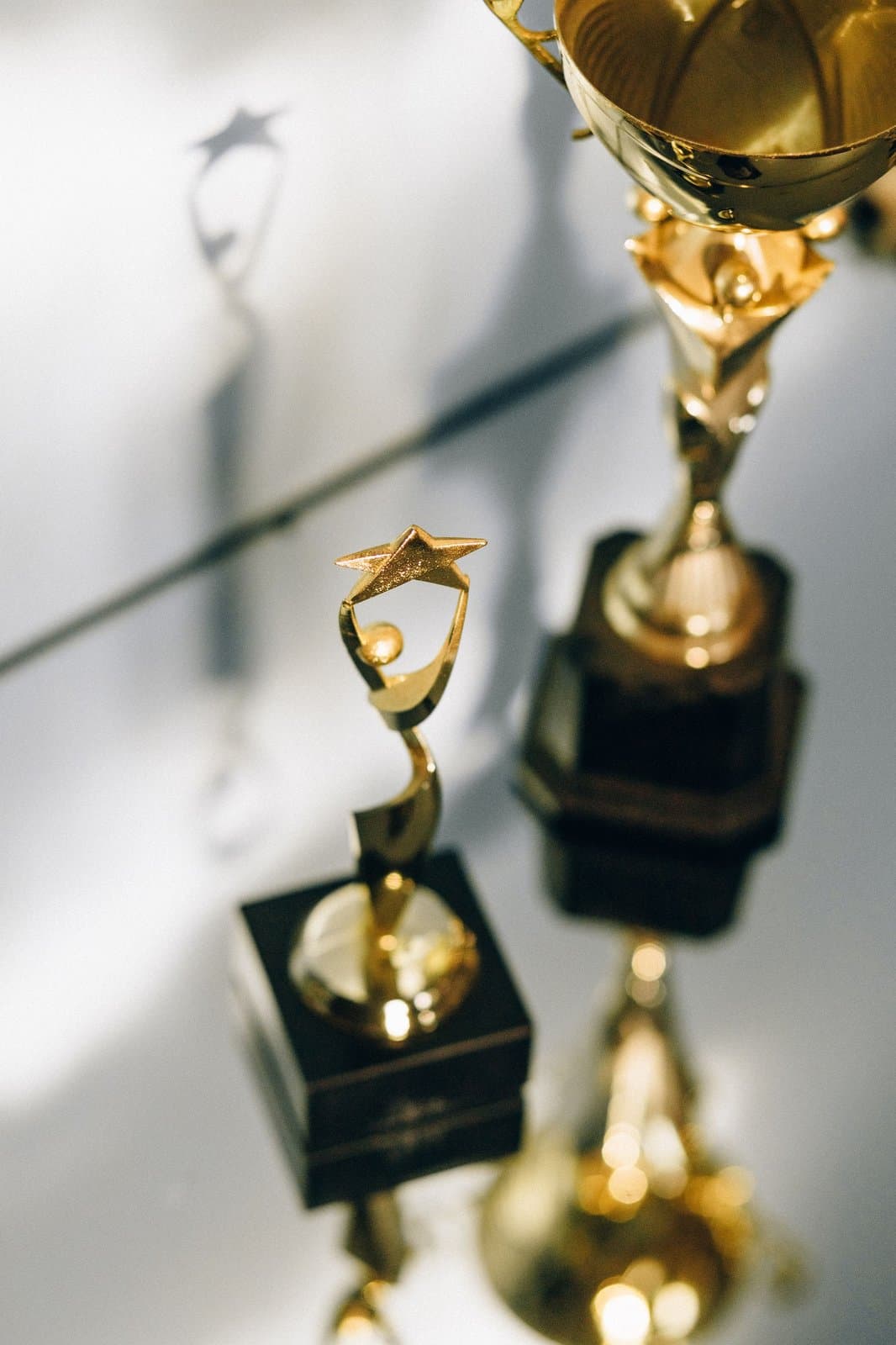 Award trophies at a corporate award function